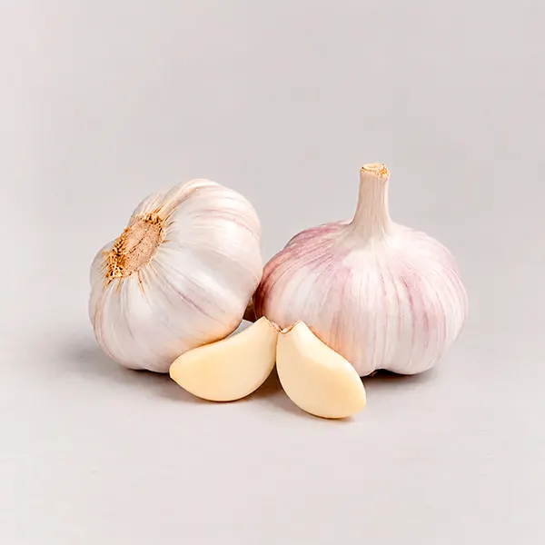 Ajo