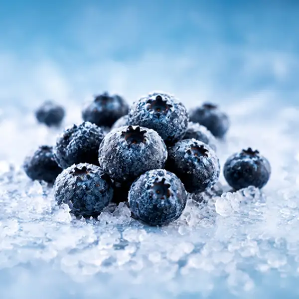 IQF Frozen Blueberries